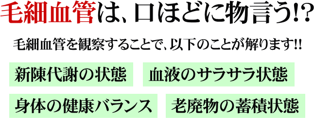 毛細血管は、口ほどに物言う！？毛細血管を観察することで、以下の事が解ります！新陳代謝の状態 血液のサラサラ状態 身体の健康バランス 老廃物の蓄積状態