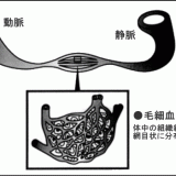 温熱サービス