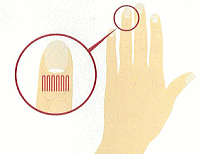 利き腕でない薬指の爪の下で観察