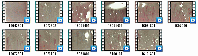 毛細血管の動画・画像は、お客様ごとに管理